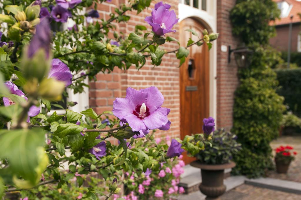 B&B De Schiedamse Suites 外观 照片