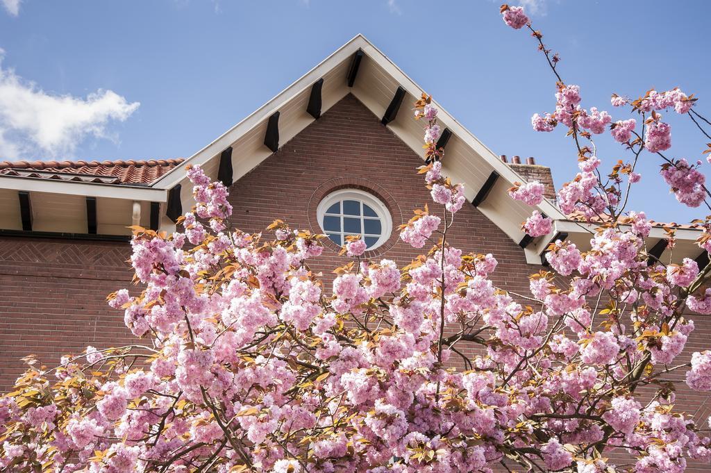 B&B De Schiedamse Suites 客房 照片